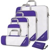 6-Purple